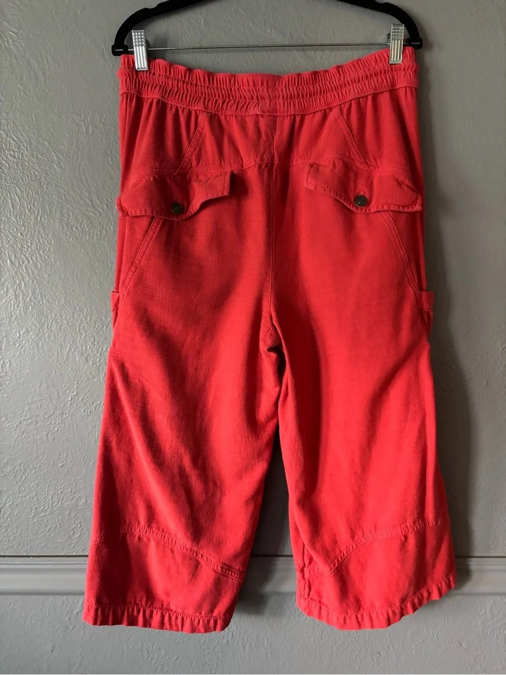 Free People Ashton Crop Pull-On Cargo Pants Red Clay Size Large